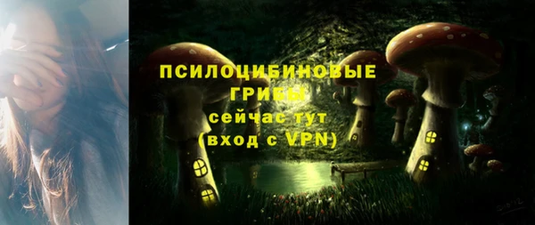 первитин Армянск