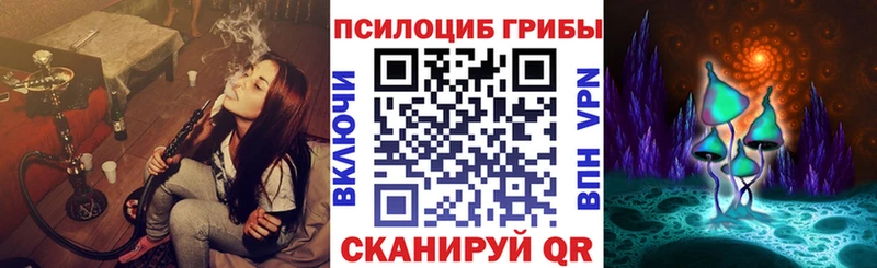 Псилоцибиновые грибы мухоморы  Купить где  Аргун 